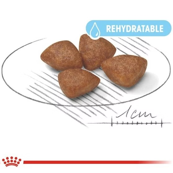 غذا خشک سگ مادر و بچه