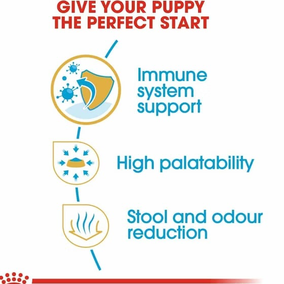 رویال کنین پاپی