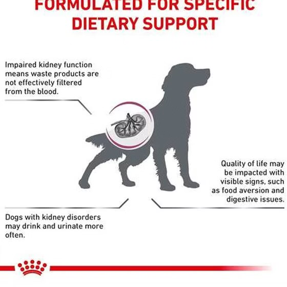 رویال کنین رنال