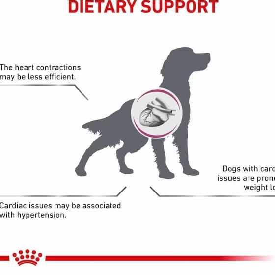 رویال کنین مشکلات قلبی کاردیاک