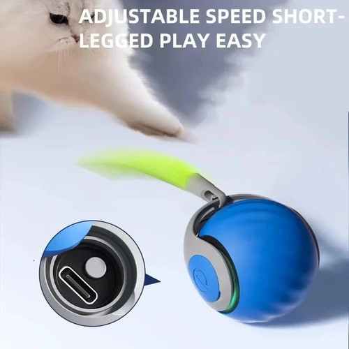 توپ هوشمند گربه