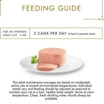 گورمت گلد gourmet gold