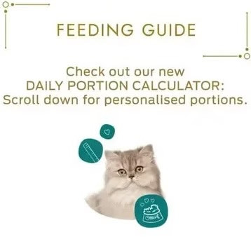 کنسرو گربه گورمت پته مرغ