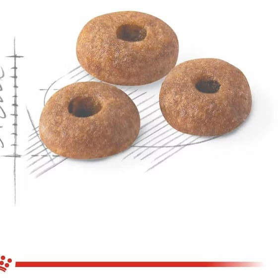 Royal canin regular fit