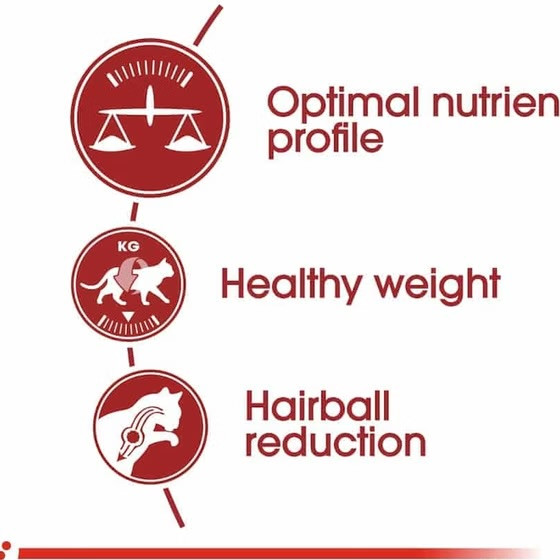 غذای گربه رویال کنین فیت