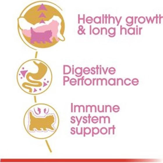 غذا خشک پرشین کیتن