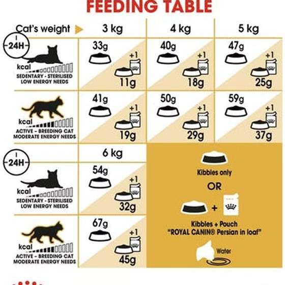 غذا خشک بچه گربه پرشین رویال کنین