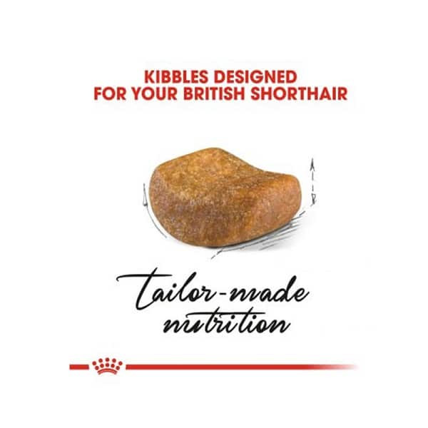 غذا خشک گربه رویال کنین بریتیش کیتن