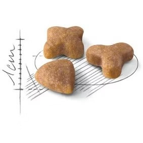 غذای سنسیبل