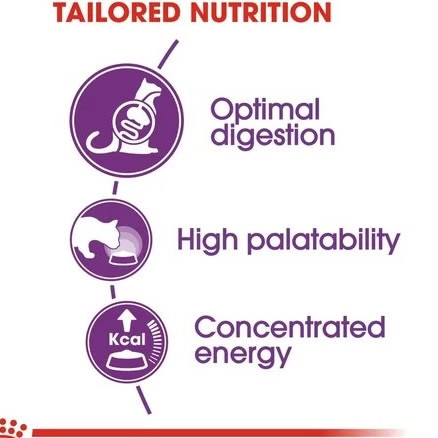 غذاخشک گربه رویال کنین سنسیبل ۲ کیلویی